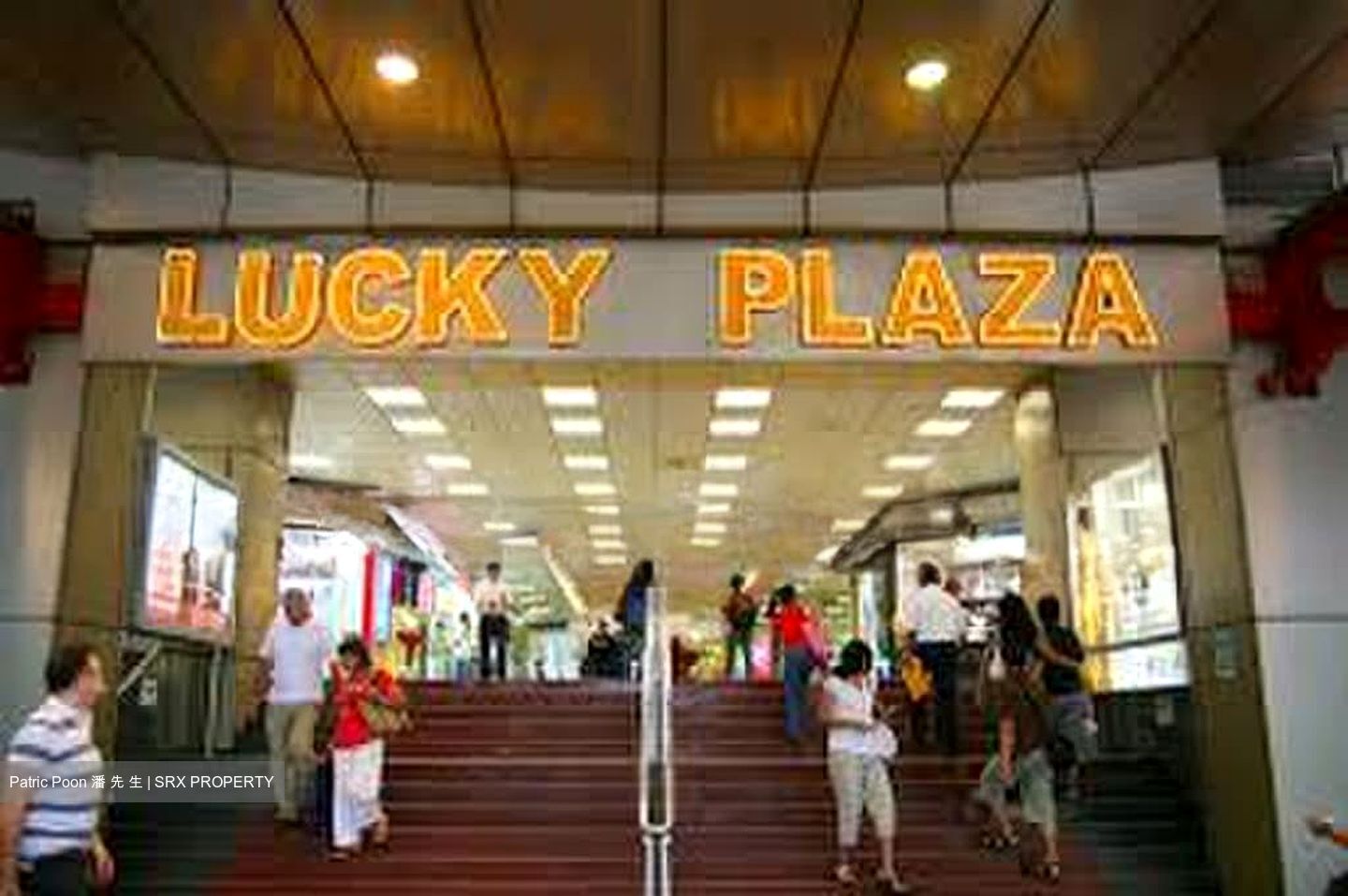 Lucky Plaza (D9), Shop House #596240551